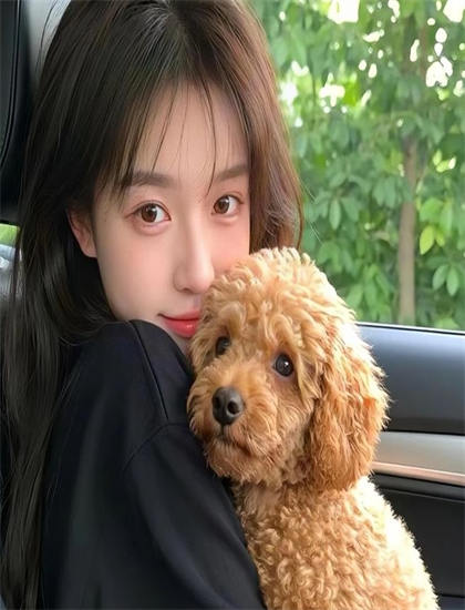 《通缉犯传奇》适合什么人观看？目标观众群体透彻分析